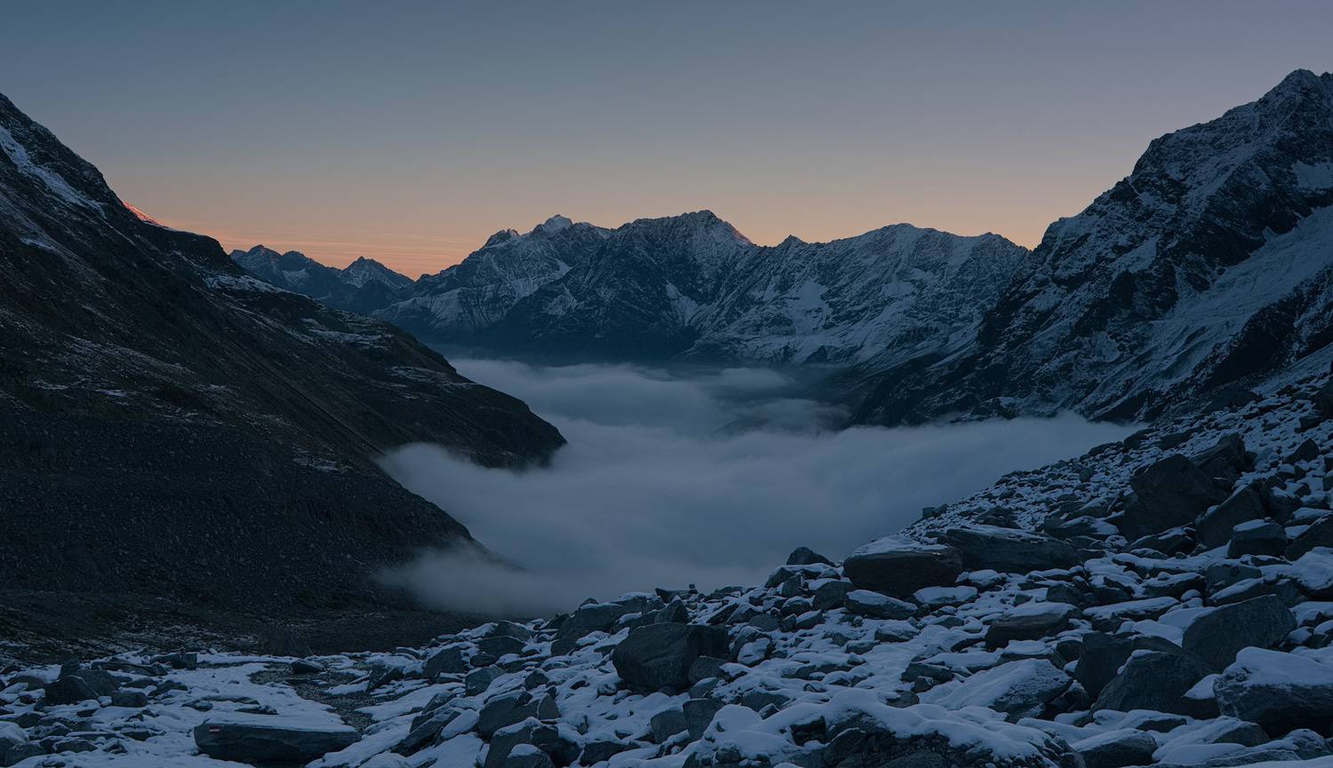 , Wojciech Tarnowski