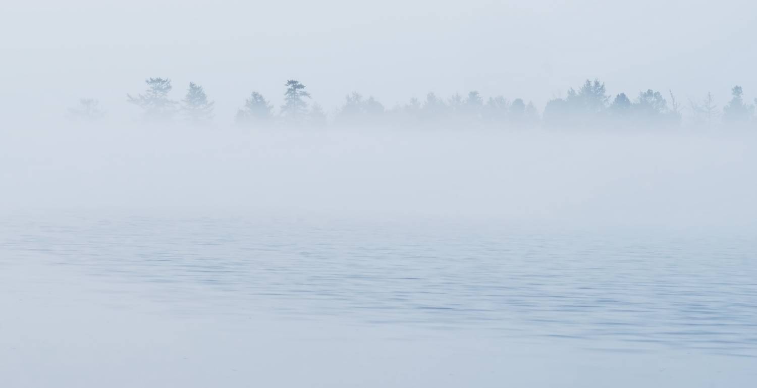 , Наталья Лабодина