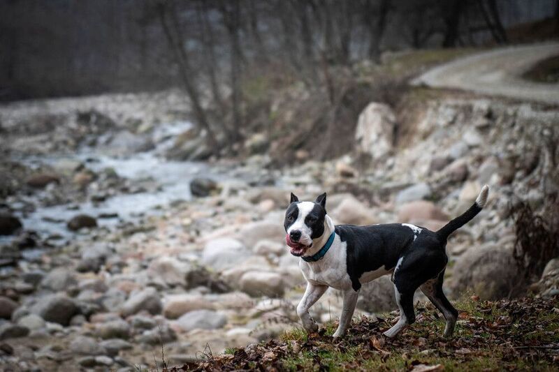 Случайный попутчик фото превью