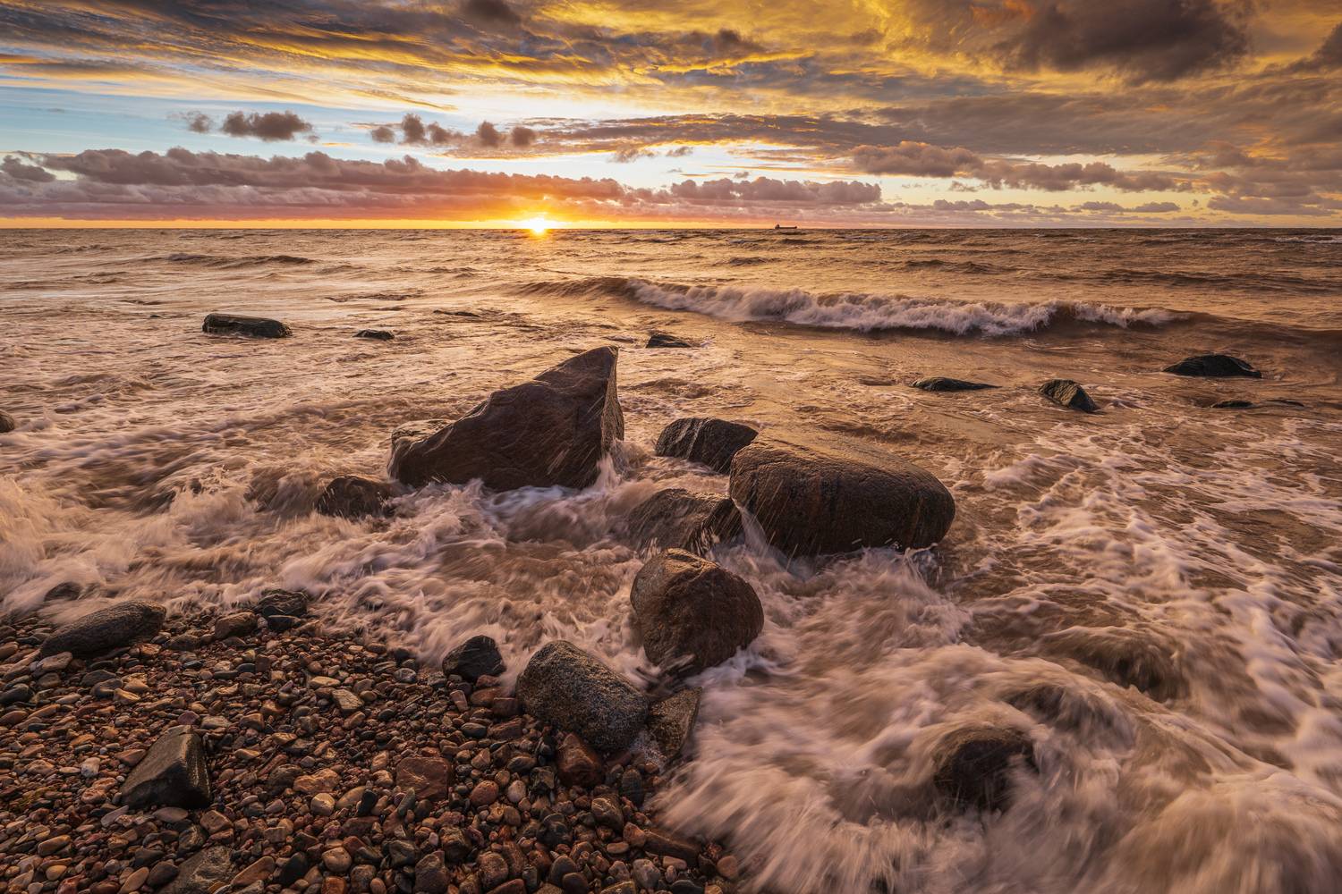 , Гордон Николай