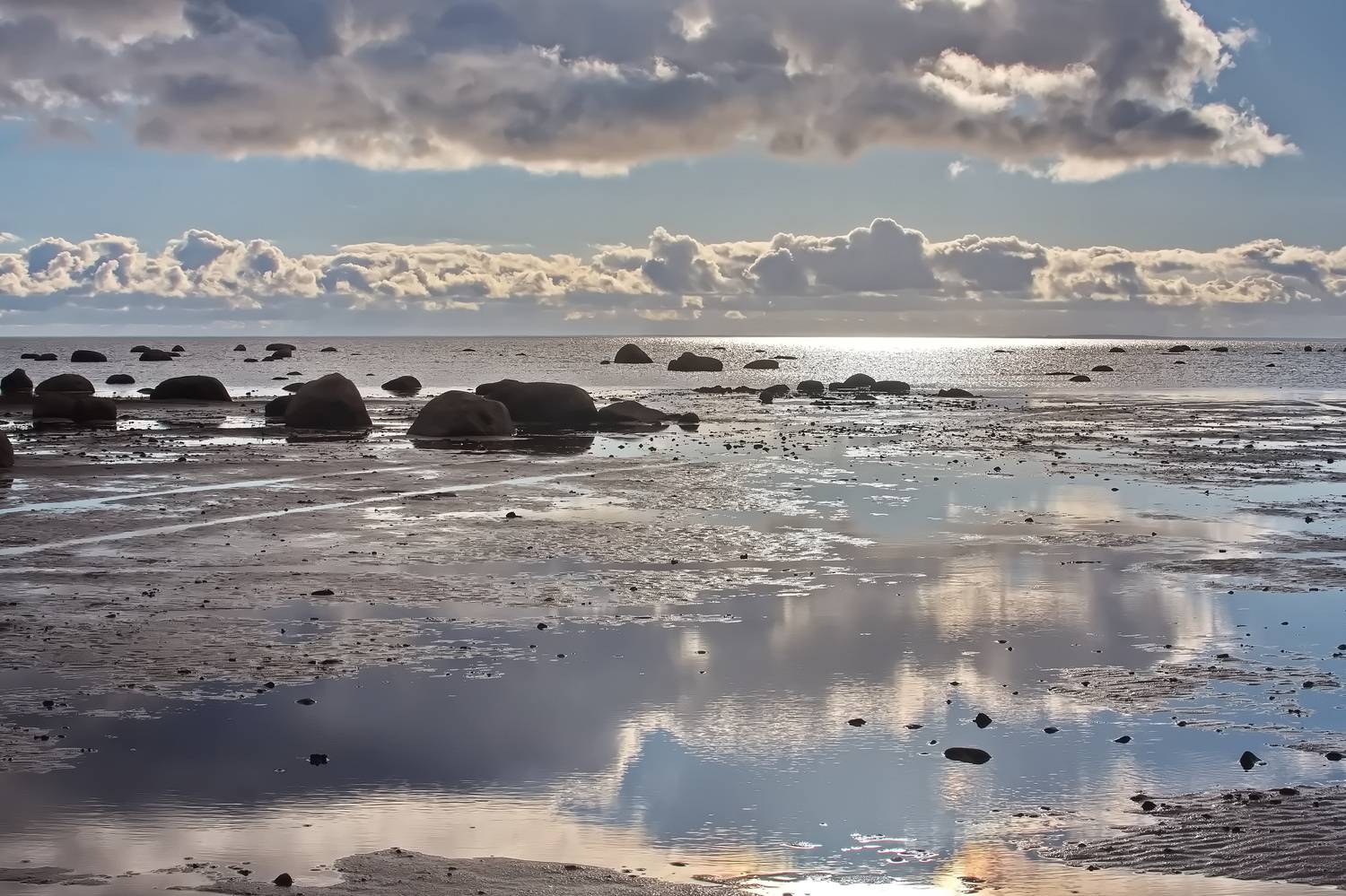 , Николаев Владимир