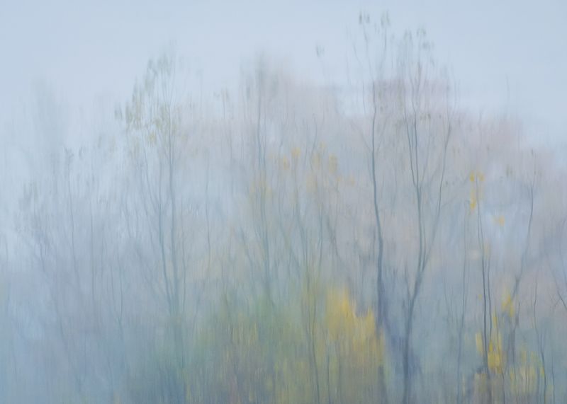 2014 фото превью