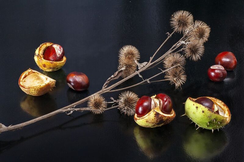 натюрморт Натюрморт фото превью