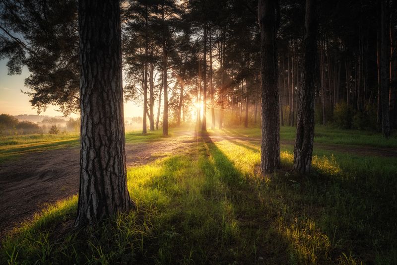 Дорога к свету фото превью