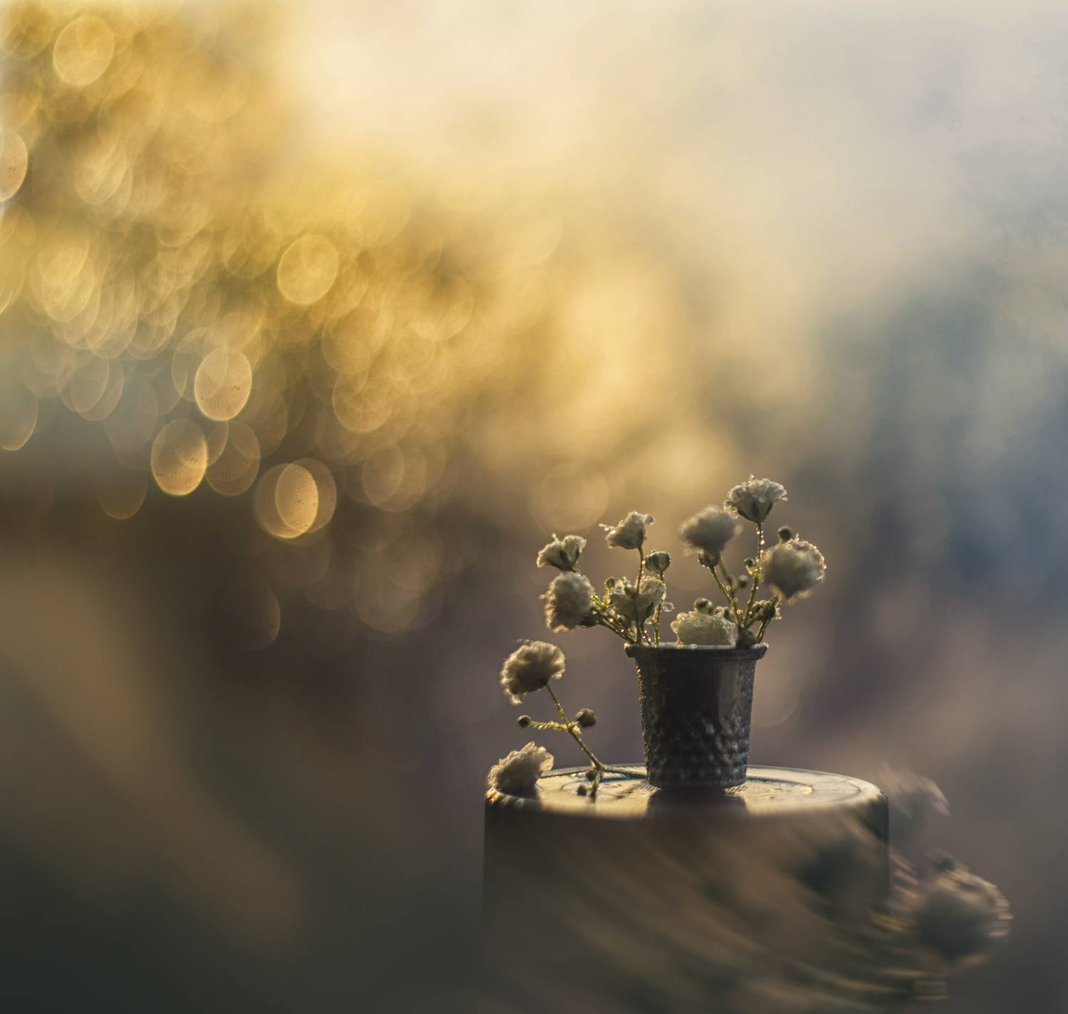 , Сигидова Ирина