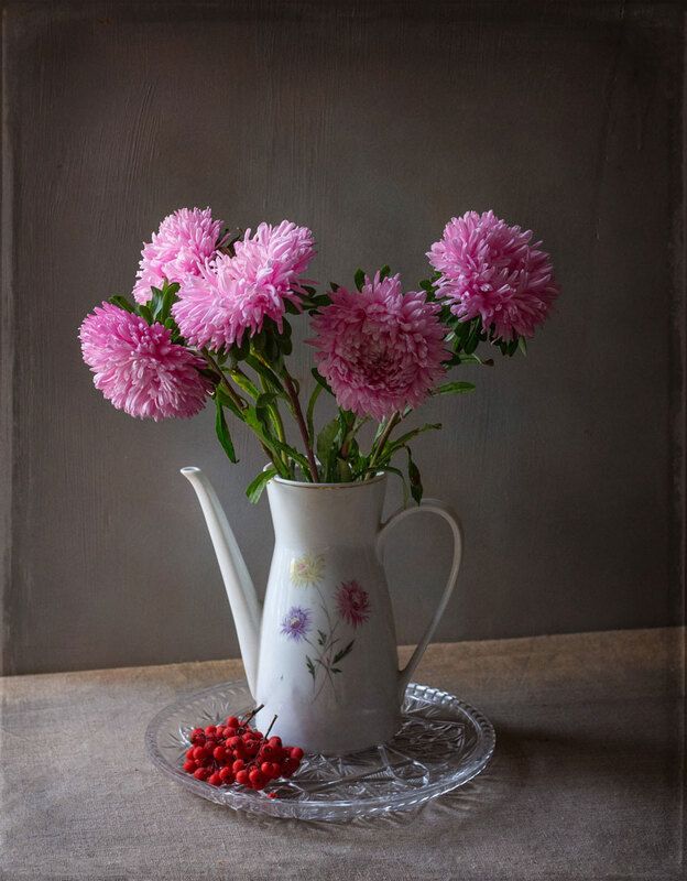 Астры фото превью