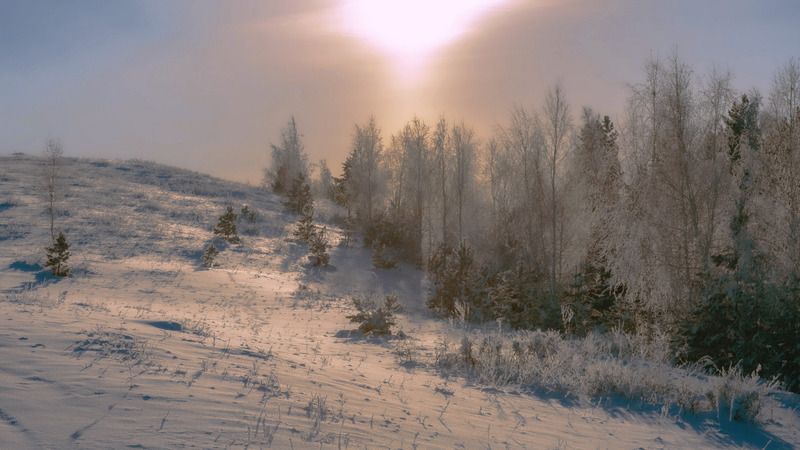 зимняя стужа фото превью