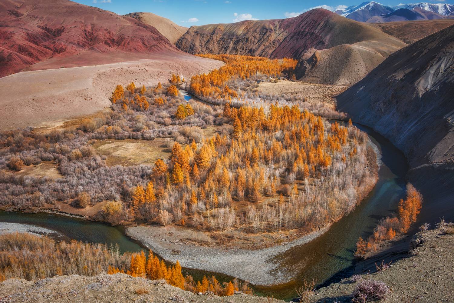 , Юдинских Марина