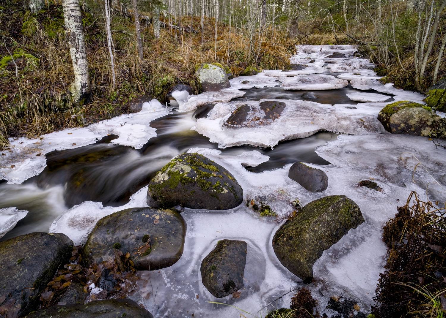 ручей зима оттепель поток ноябрь лес север карелия, Igor Shishpanov