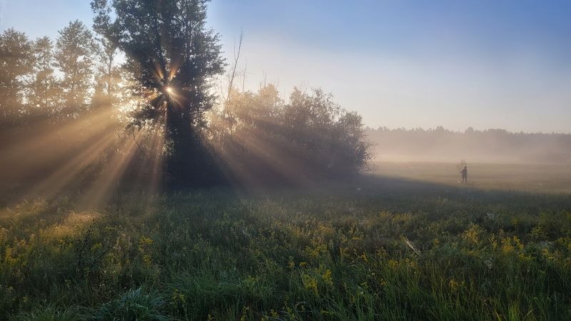 Летнее утро фото превью