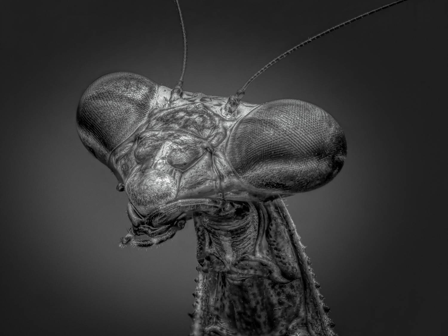 , Олег Савицкий