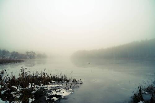 Туманный день на берегу замёрзшей реки (2)