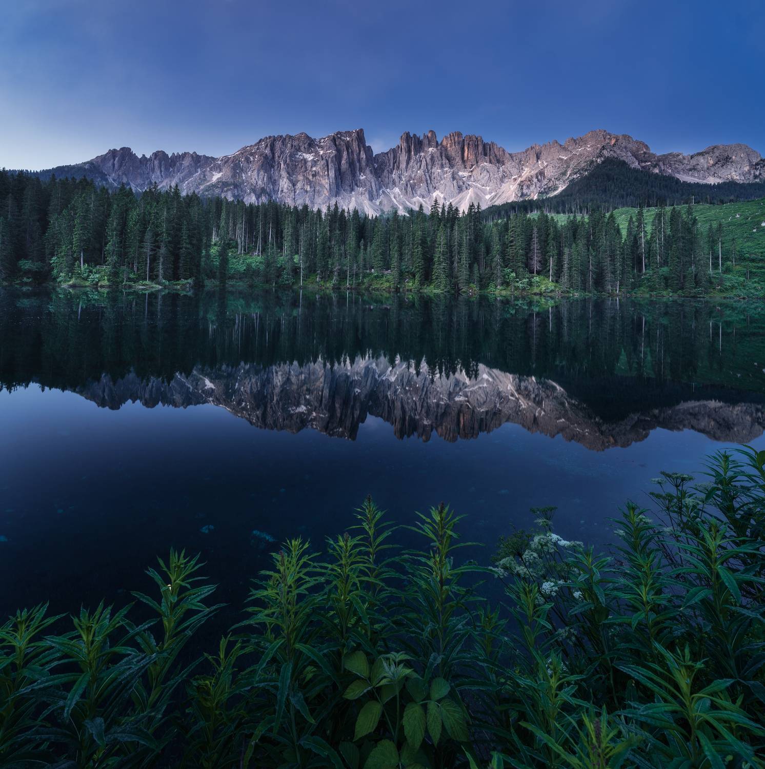 , Вукотић Никола