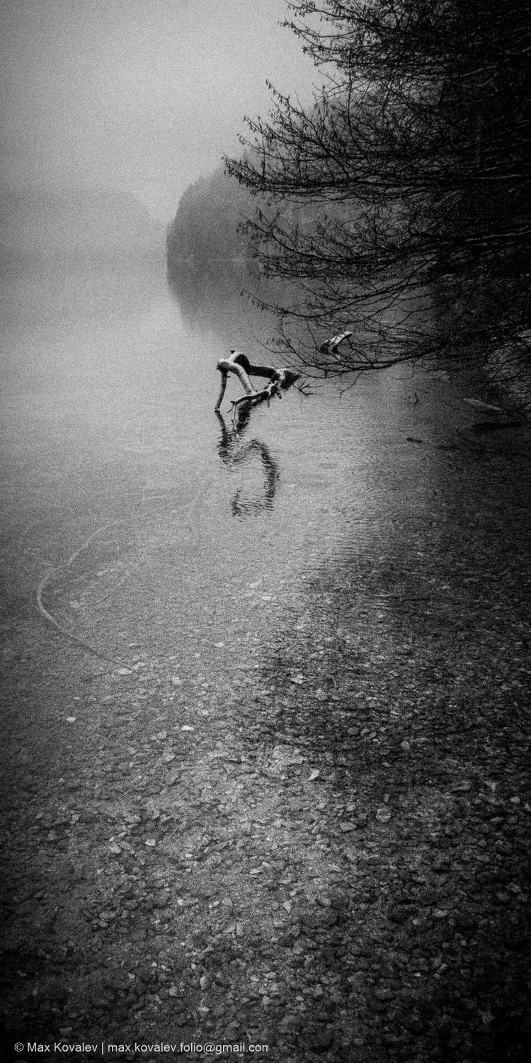 alpsee, europe, germany, fog, lake, mountain, nature, water, winter, альпзее, германия, европа, вода, гора, зима, озеро, природа, туман, Ковалёв Максим