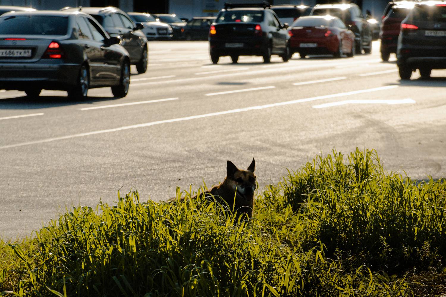 , Какоткин Роман