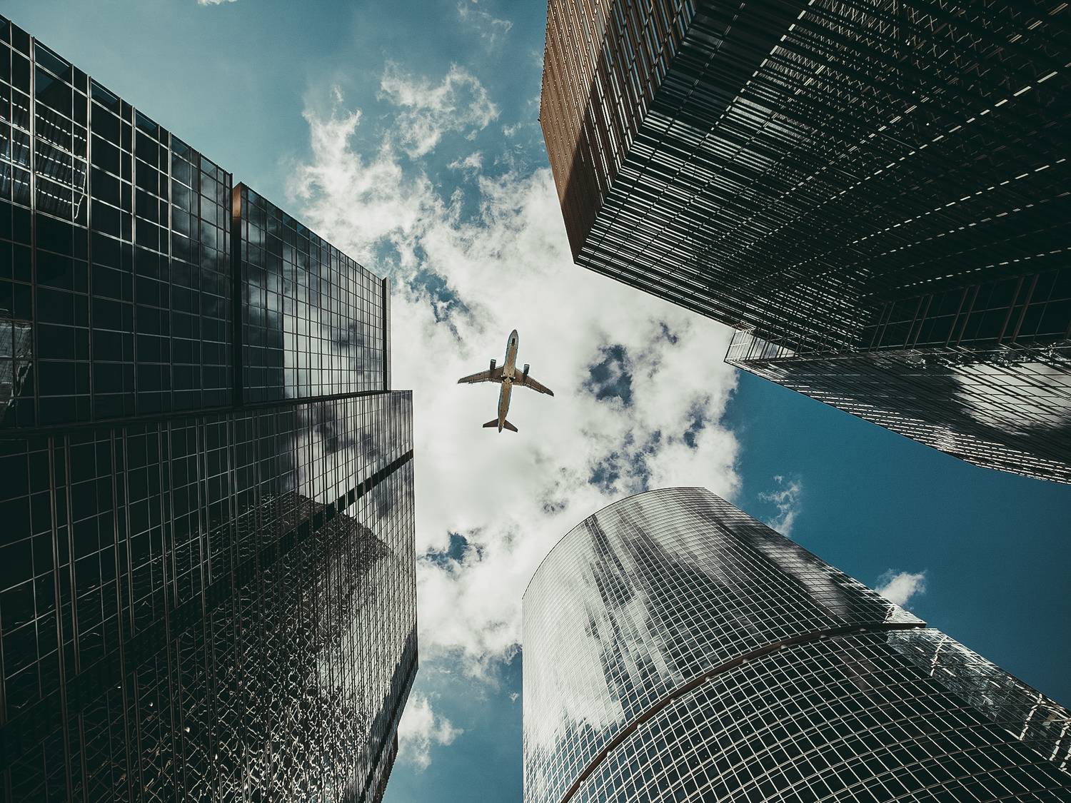 , Трепольский Дмитрий