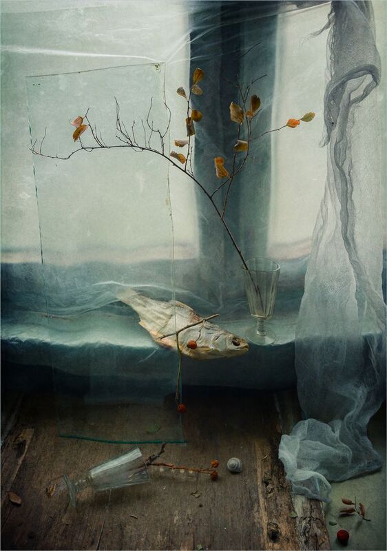 * * * фото превью