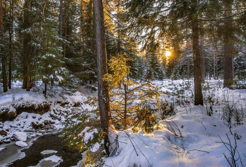 Вечерний свет фото превью