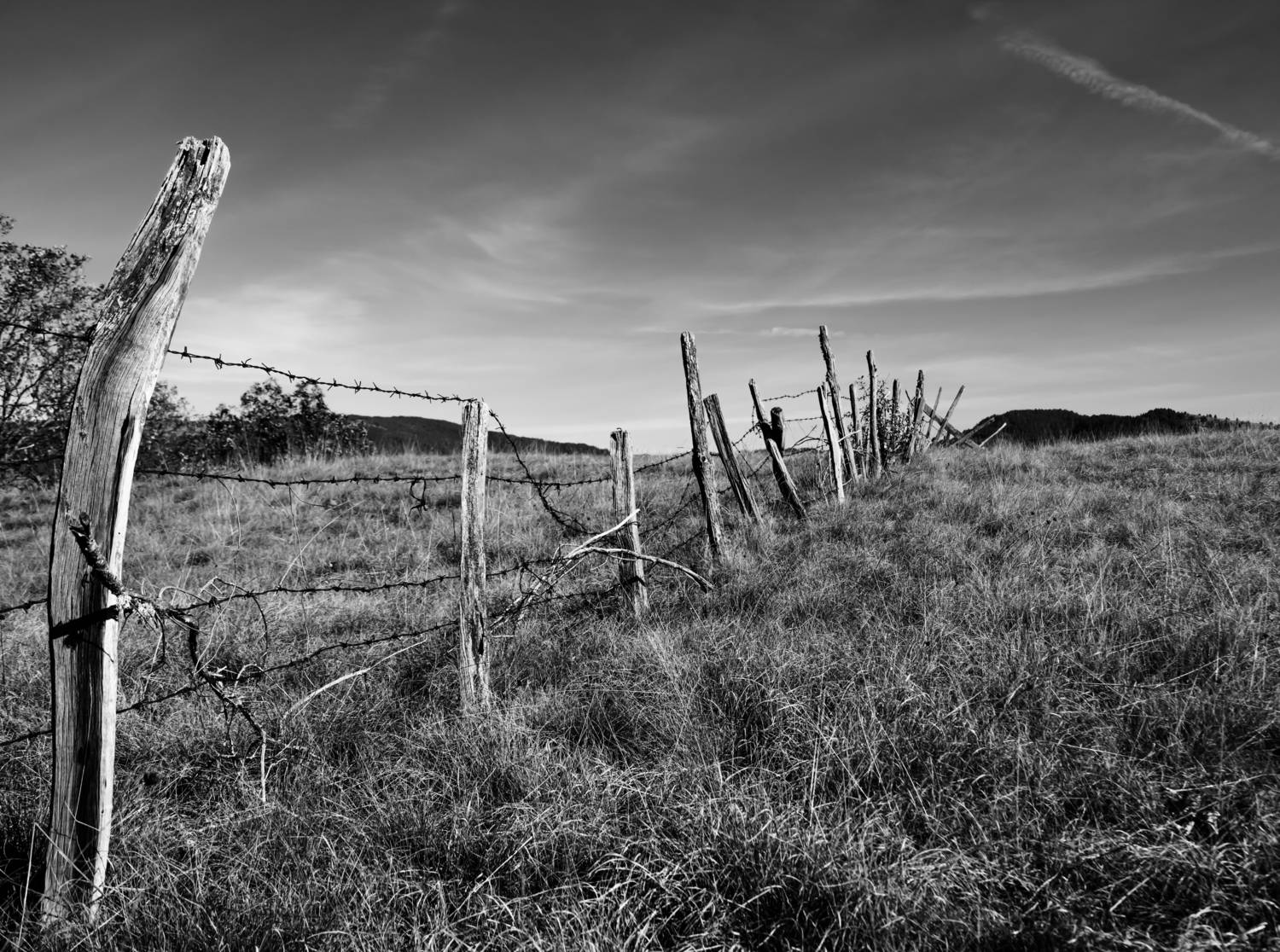 , Шилов Александр