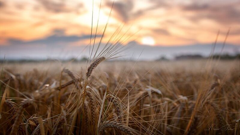Костромской край. фото превью