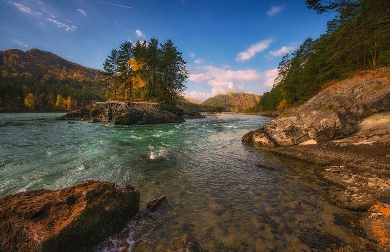 алтай, горы, река, течение, катунь, берег, скалы, остров, осень Осенний день фото превью