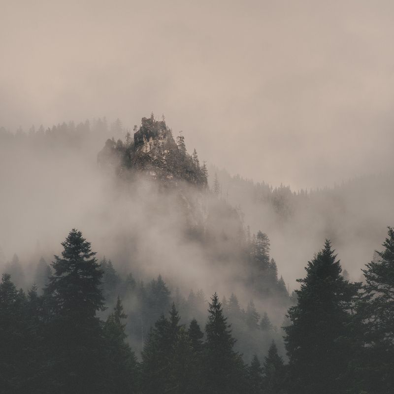 пейзаж, природа, горы, туман, лес, скала, утро, мистика, тишина, дымка, хвойный лес, вдохновение, спокойствие, атмосфера, облака, туманный лес, вершина, таинственно, художественная фотография, одинокая скала Скала в тумане фото превью