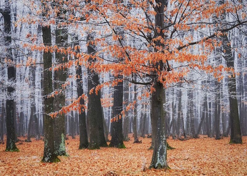 2013 фото превью