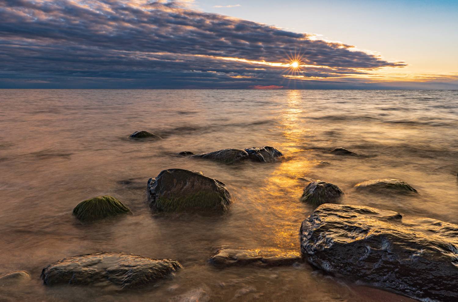 , Гордон Николай