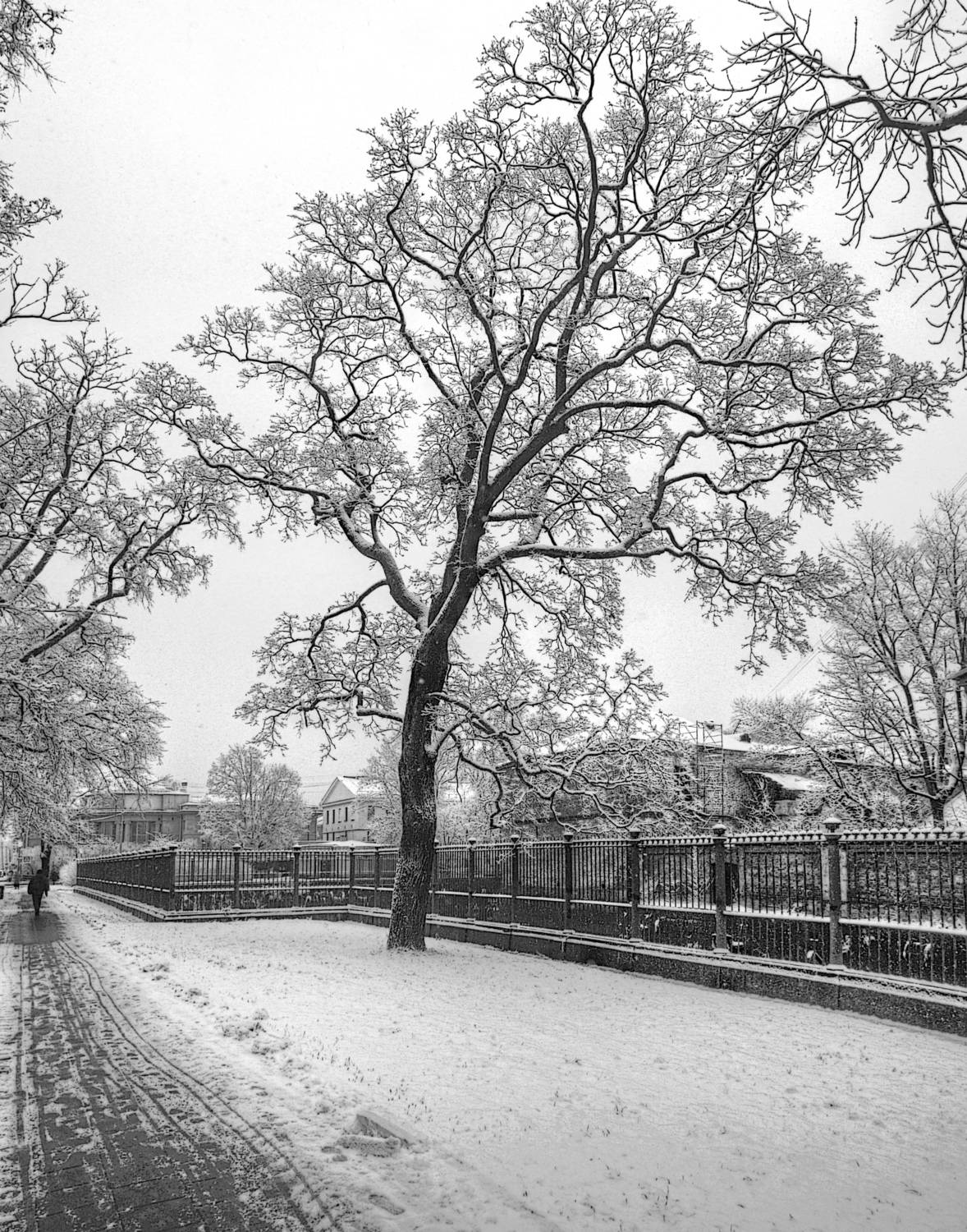 , Сергей Григорьев