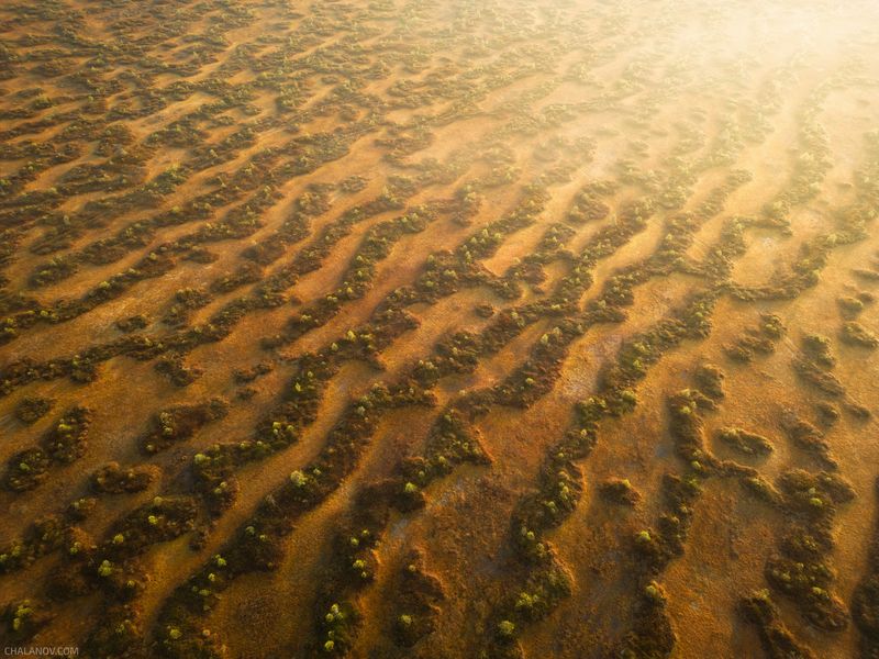 пейзаж, дрон, болото, рассвет, осень, узор Лабиринты болот фото превью