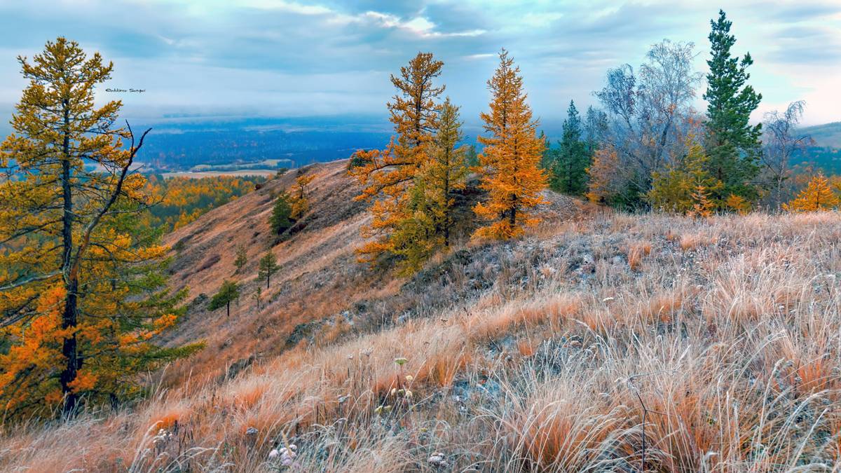 , Евдокимов Сергей