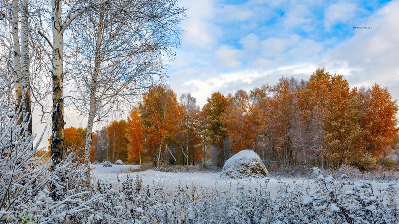фото превью