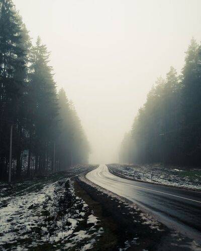 Дорога в туман (1)