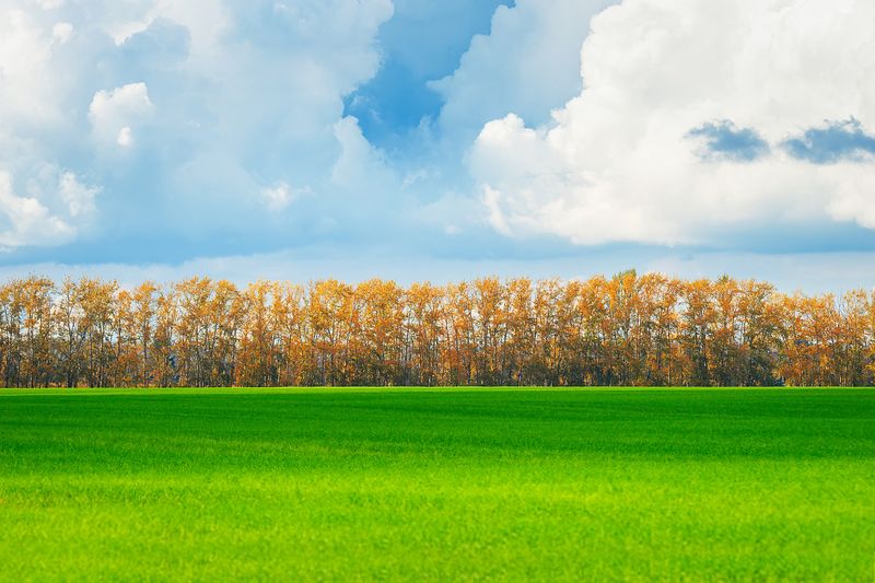 Поле фото превью