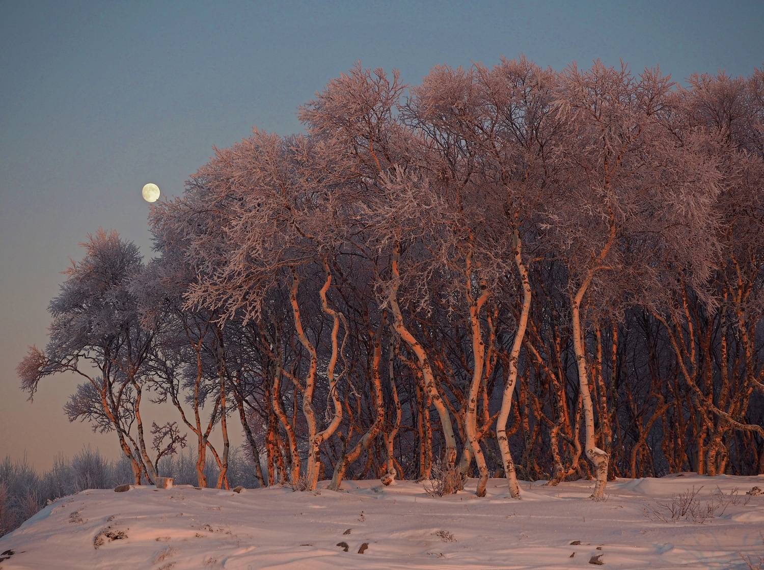 , Яковлев Евгений