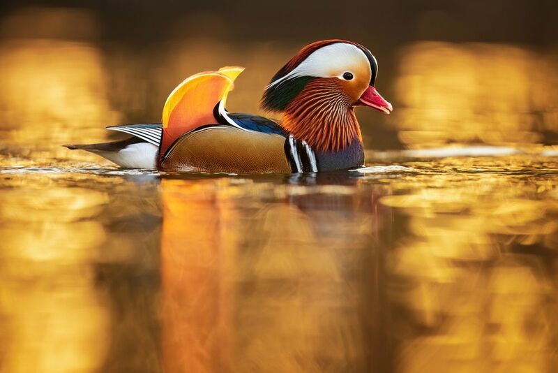 Light streaks фото превью