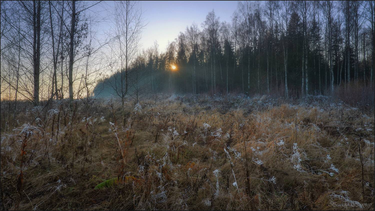 , Болеско Виктор