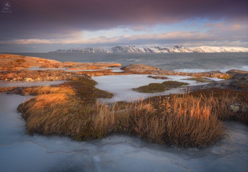 кольский, зима, фототур на кольский, мурманская область, териберка, зимний кольский, заполярье Теплый берег фото превью