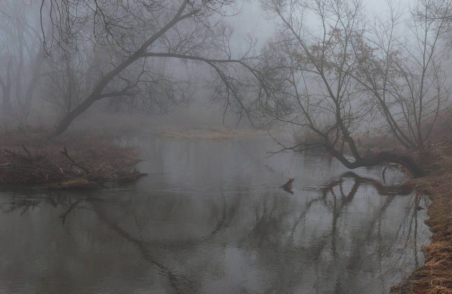 весна, река, туман, Свистков Александр