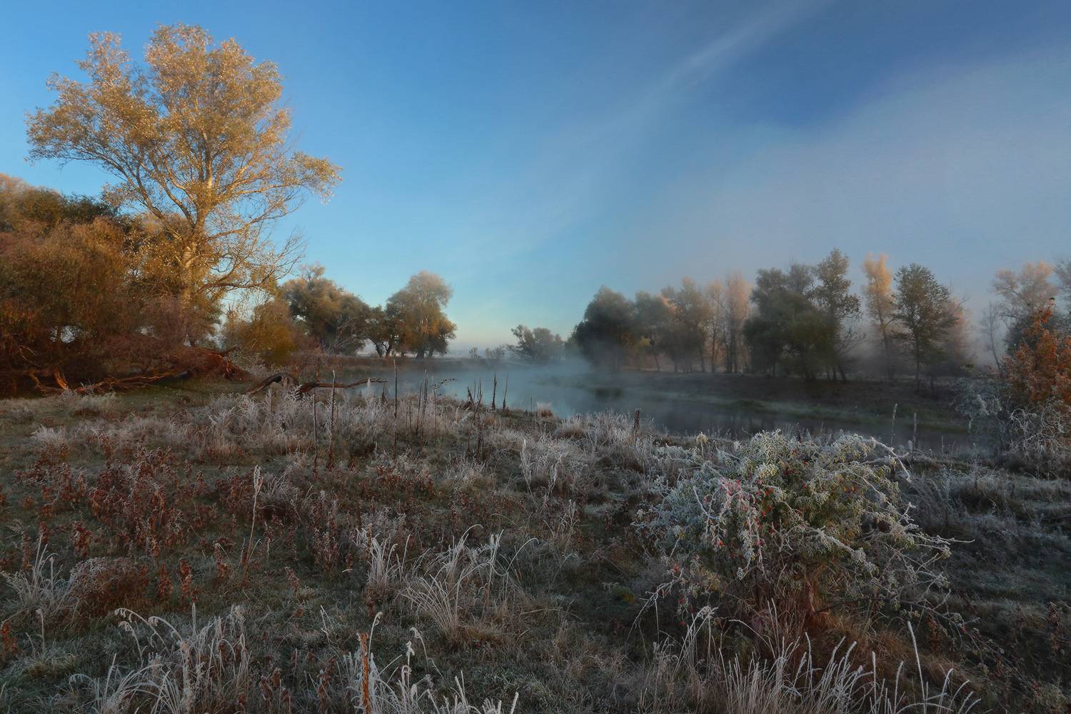 утро река осень, Петриченко Валерий