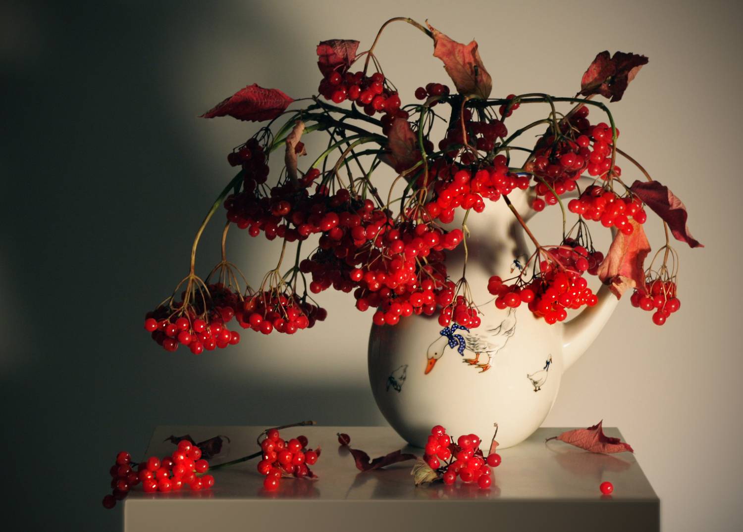 калина, Заболотская Ольга