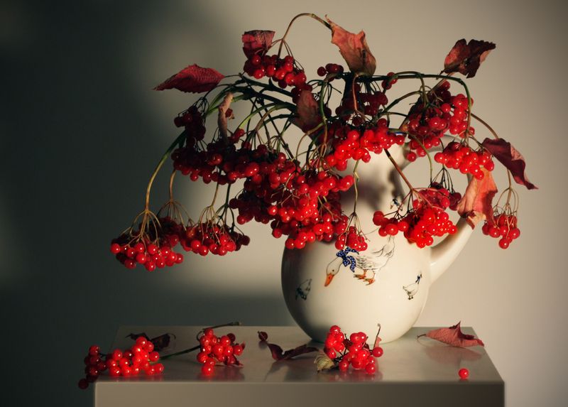 калина Калинушка фото превью