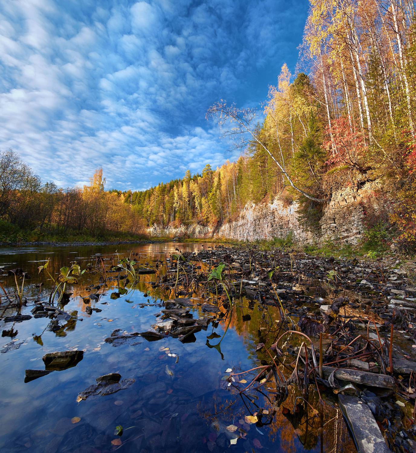 , Илья Лисаускас