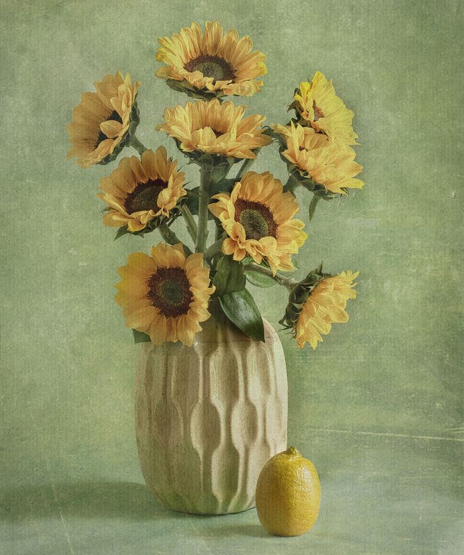 Sunflowers фото превью