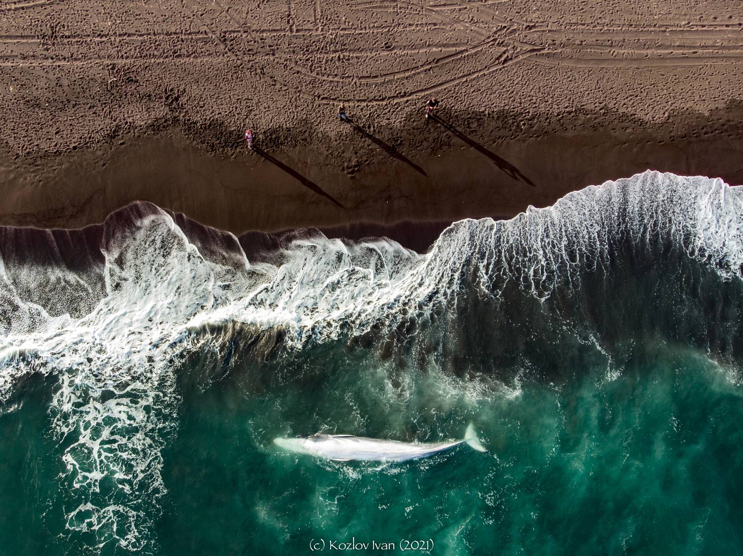 , Козлов Иван