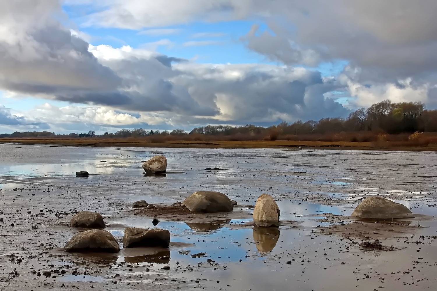 , Николаев Владимир