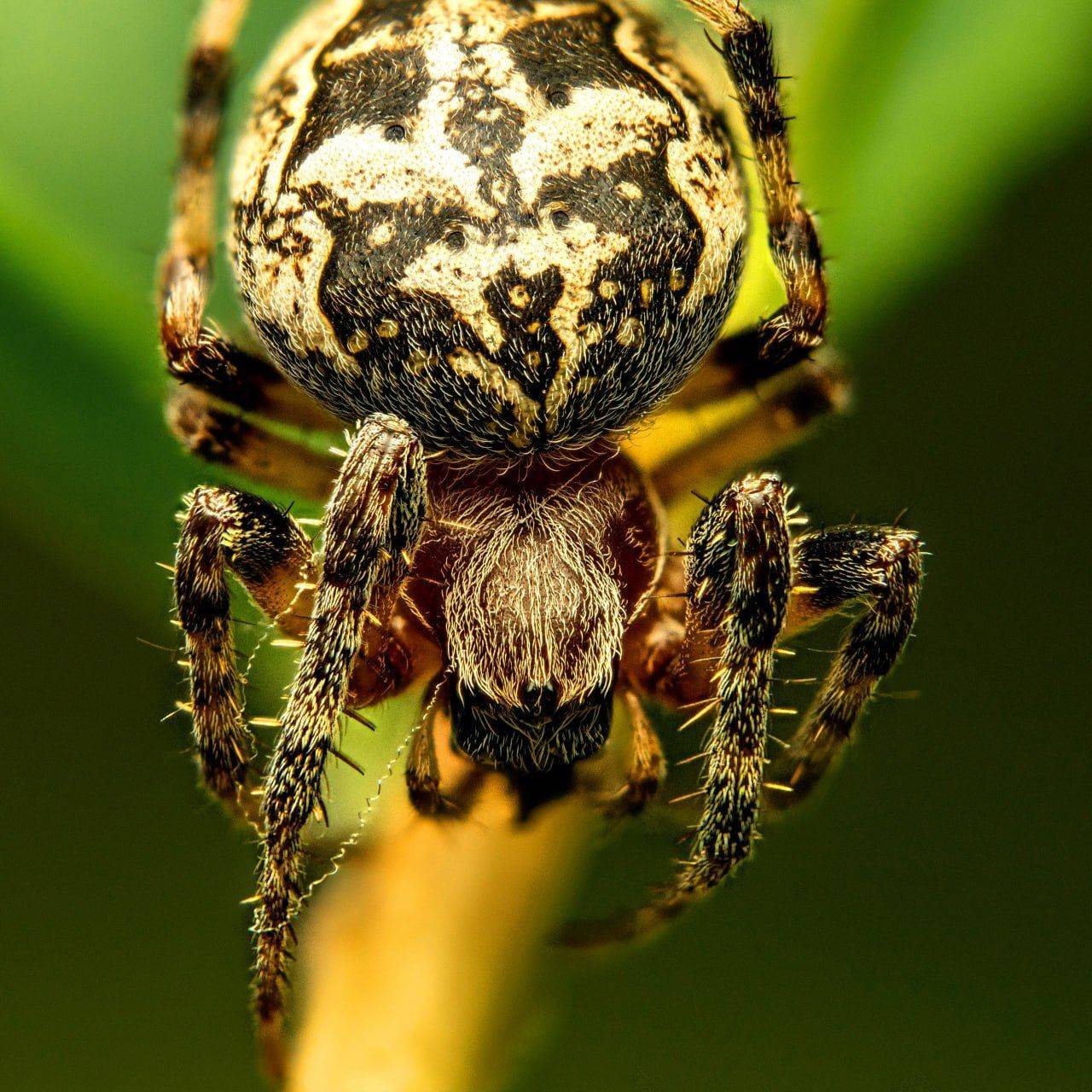 , Миша Усольцев