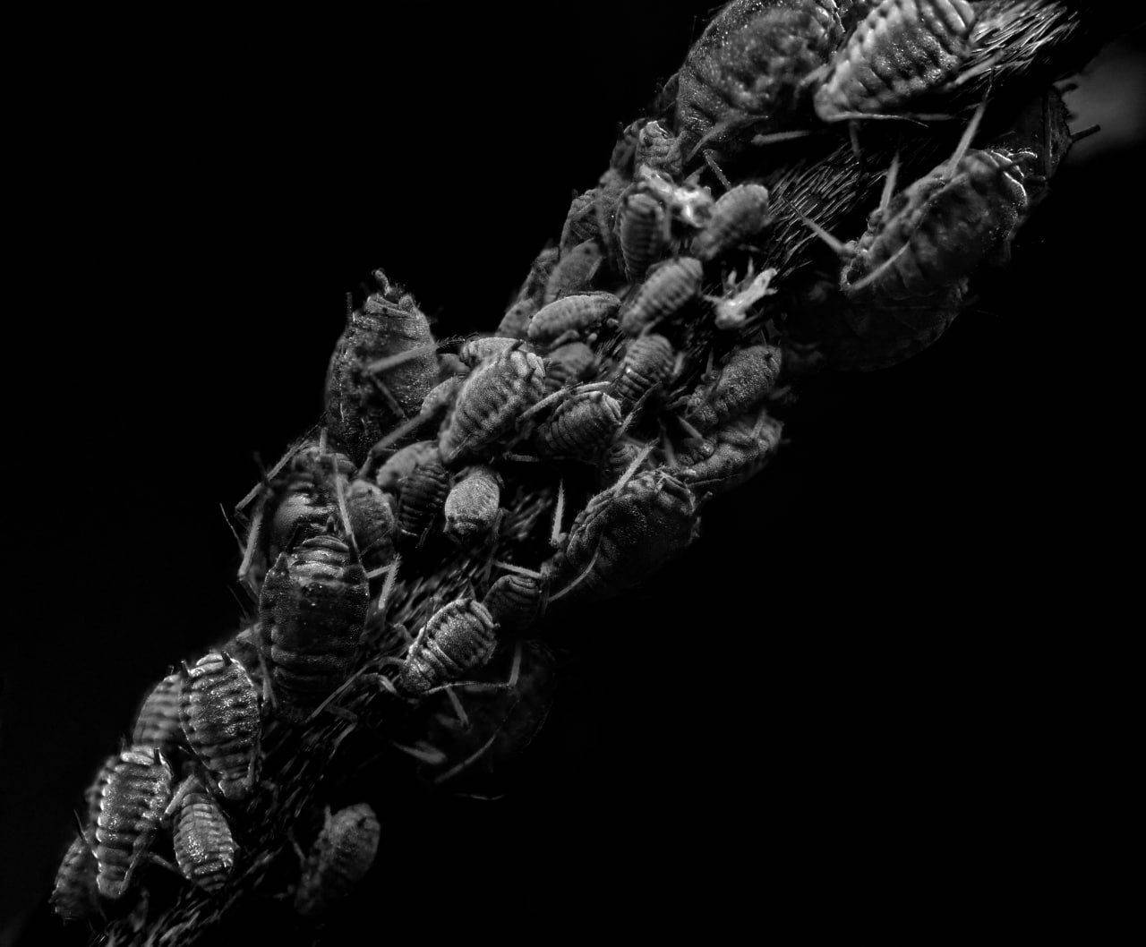 , Миша Усольцев