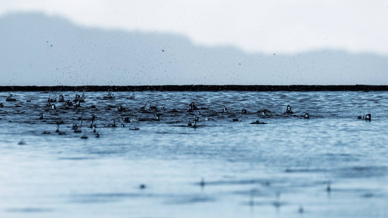 , Наталья Лабодина