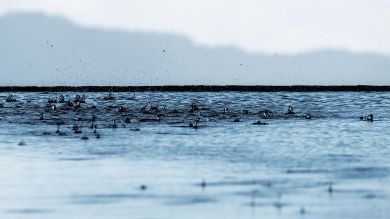 … иллюзия дождя… фото превью